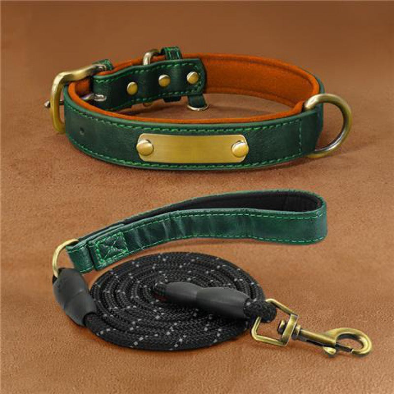 Collier + Laisse, pour chien | Gravure Personnalisé  : Nom | Numéro | Autre |