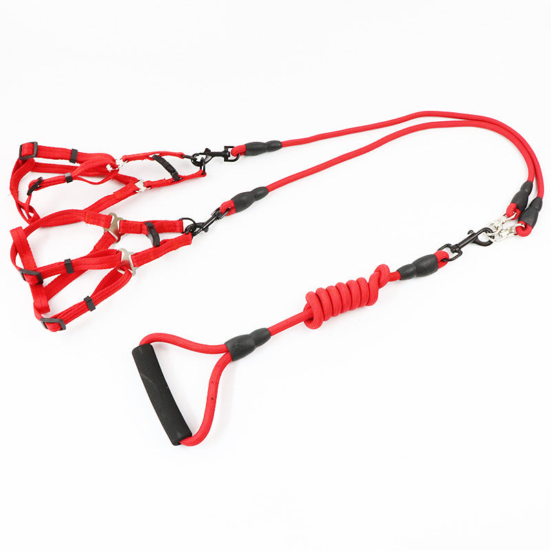Laisse Double / Triple pour Chien – Promenades Simplifiées & Contrôle Total