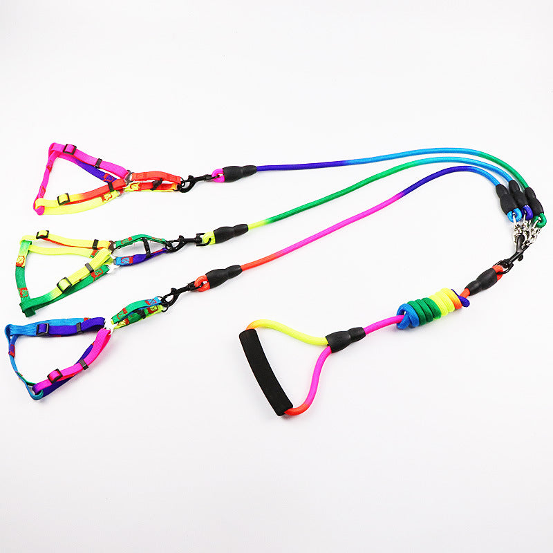 Laisse Double / Triple pour Chien – Promenades Simplifiées & Contrôle Total