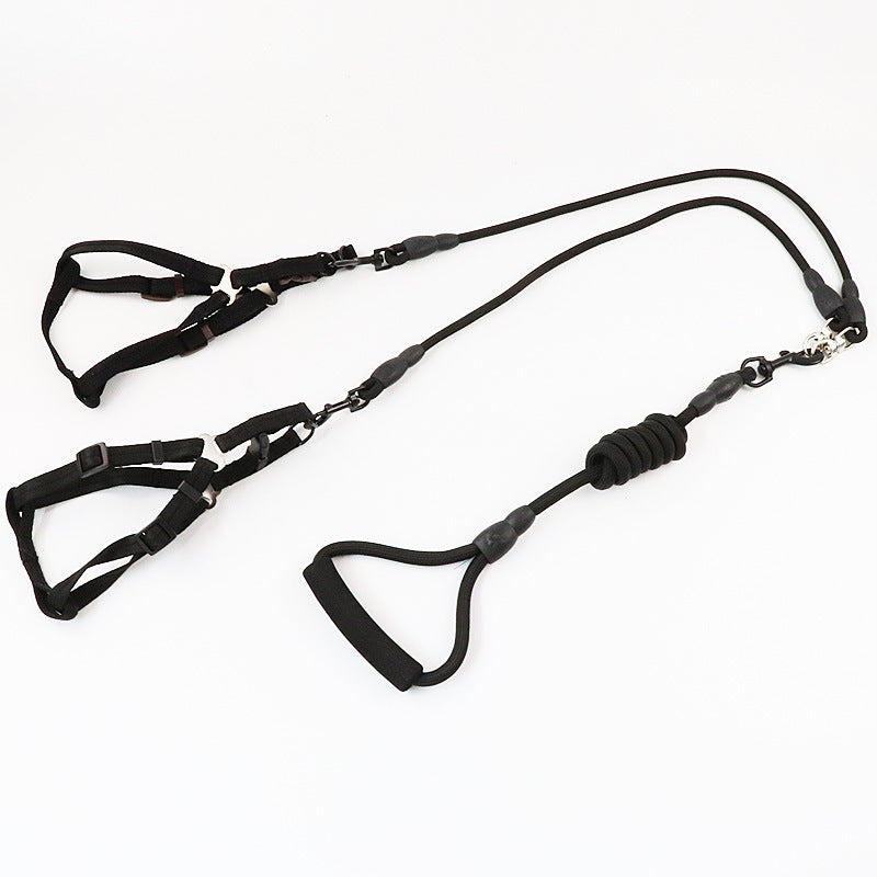 Laisse Double / Triple pour Chien – Promenades Simplifiées & Contrôle Total