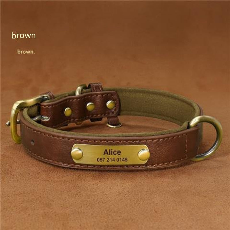 Collier + Laisse, pour chien | Gravure Personnalisé  : Nom | Numéro | Autre |