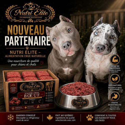 Alimentation Crue pour animaux  PREMIMUM
