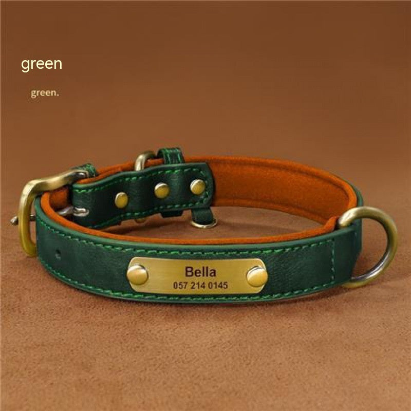 Collier + Laisse, pour chien | Gravure Personnalisé  : Nom | Numéro | Autre |