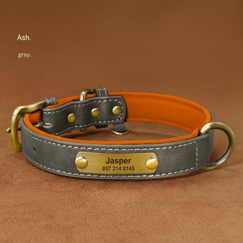 Collier + Laisse, pour chien | Gravure Personnalisé  : Nom | Numéro | Autre |