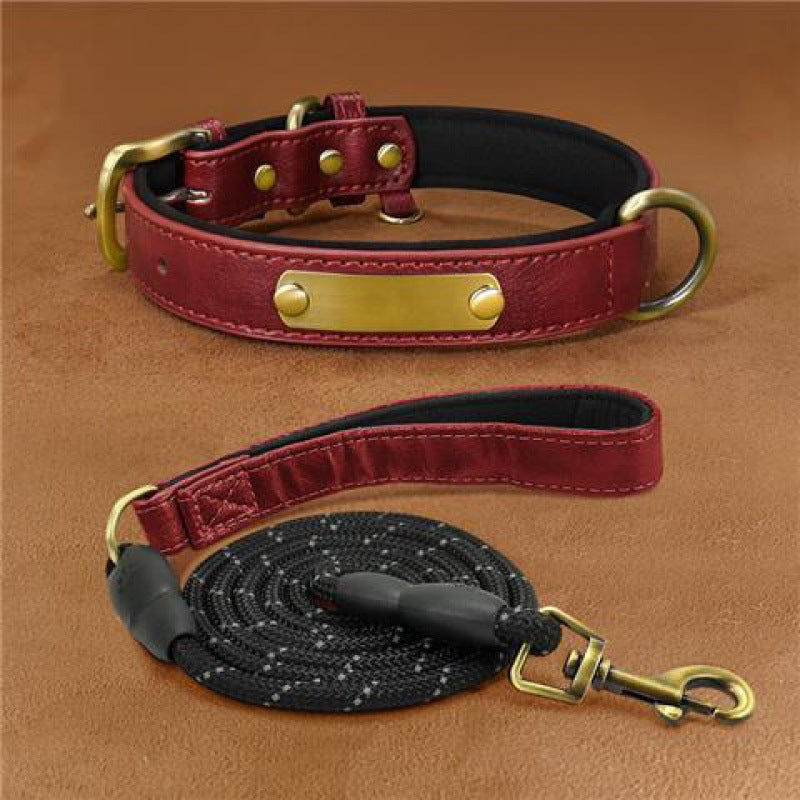 Collier + Laisse, pour chien | Gravure Personnalisé  : Nom | Numéro | Autre |