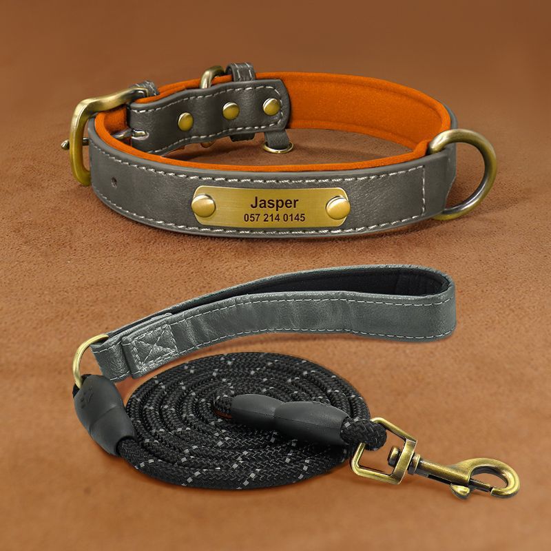 Collier + Laisse, pour chien | Gravure Personnalisé  : Nom | Numéro | Autre |