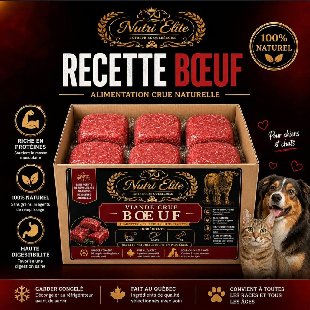 Alimentation Crue pour animaux  PREMIMUM