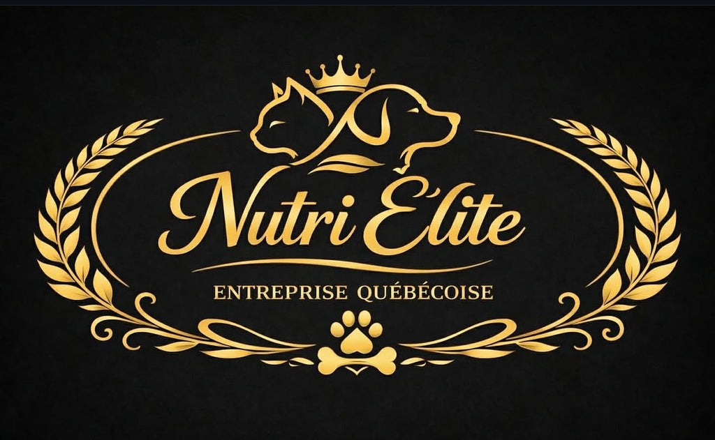 Alimentation Crue pour animaux  PREMIMUM
