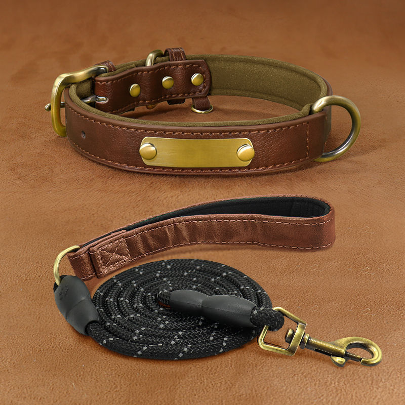 Collier + Laisse, pour chien | Gravure Personnalisé  : Nom | Numéro | Autre |