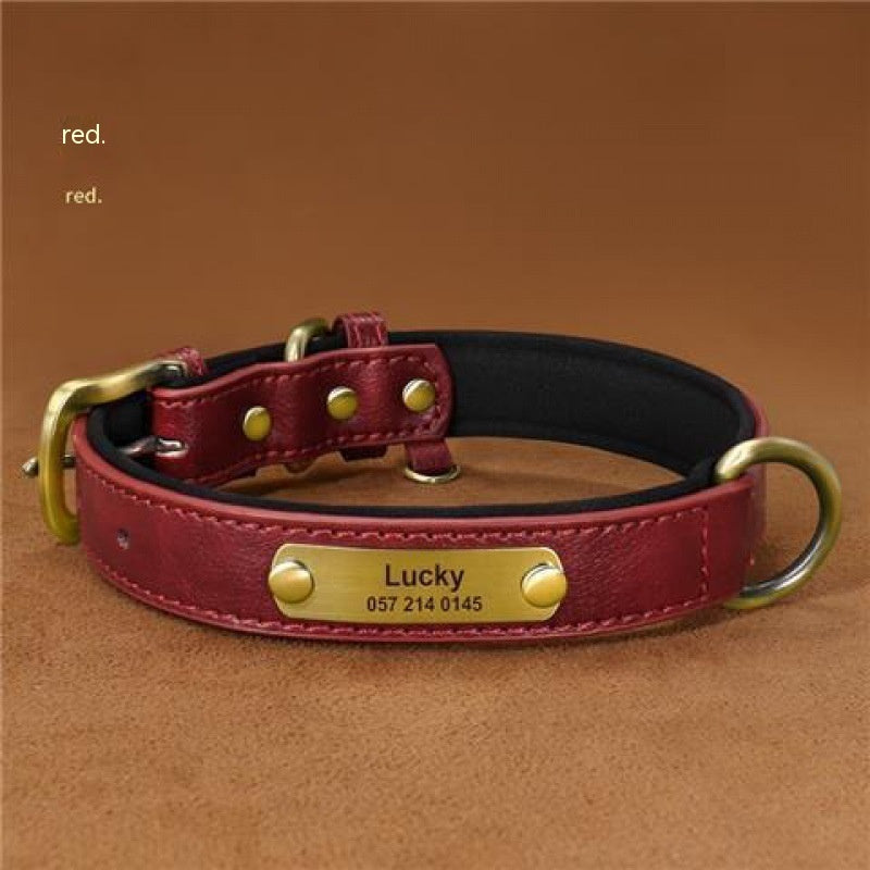 Collier + Laisse, pour chien | Gravure Personnalisé  : Nom | Numéro | Autre |